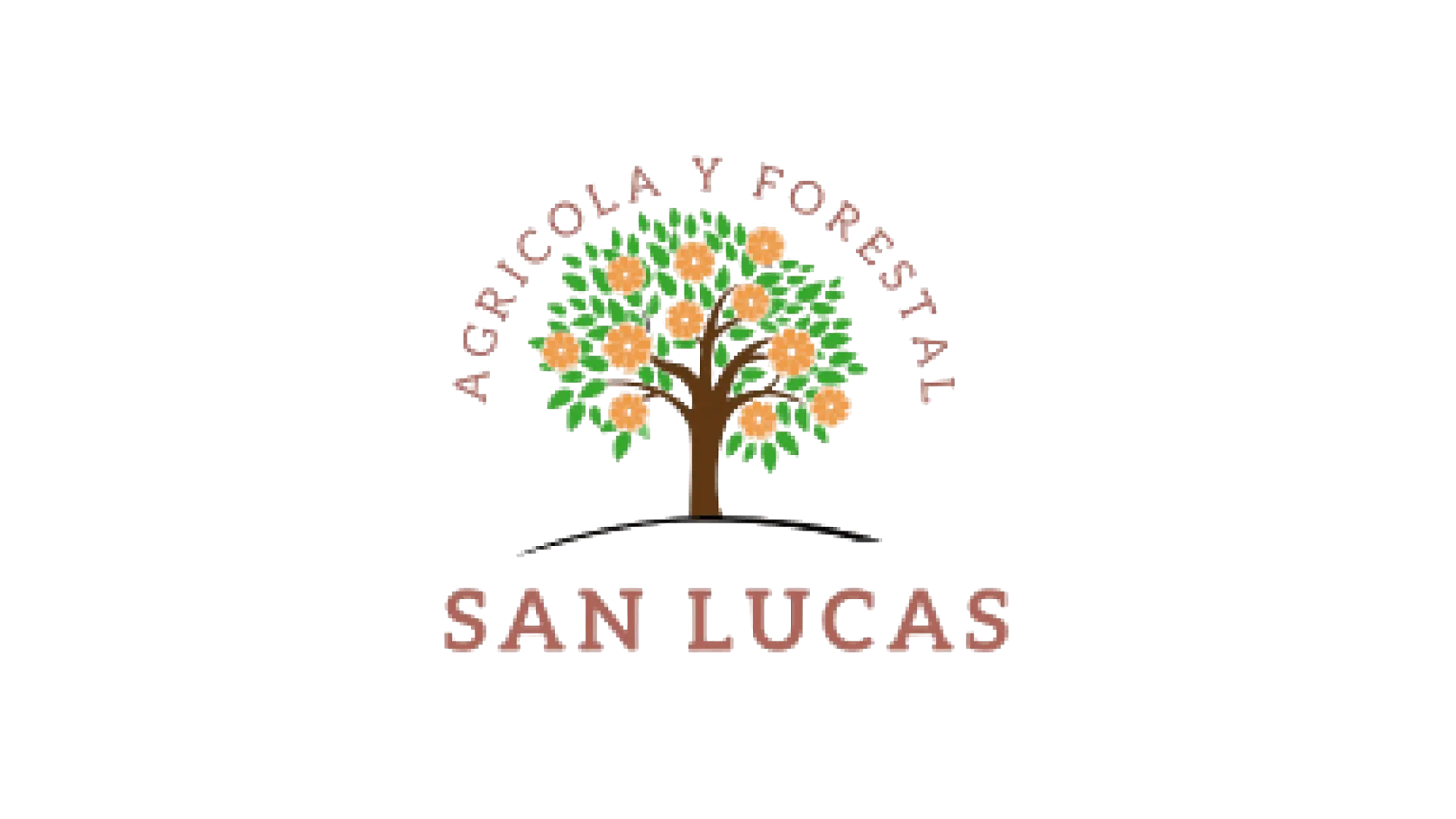 Campo San Lucas