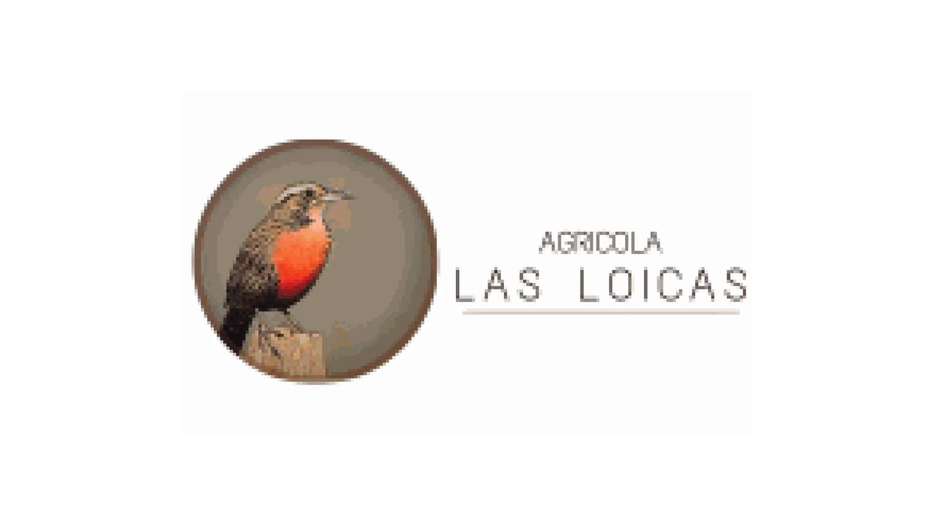 Agricola Las Loicas