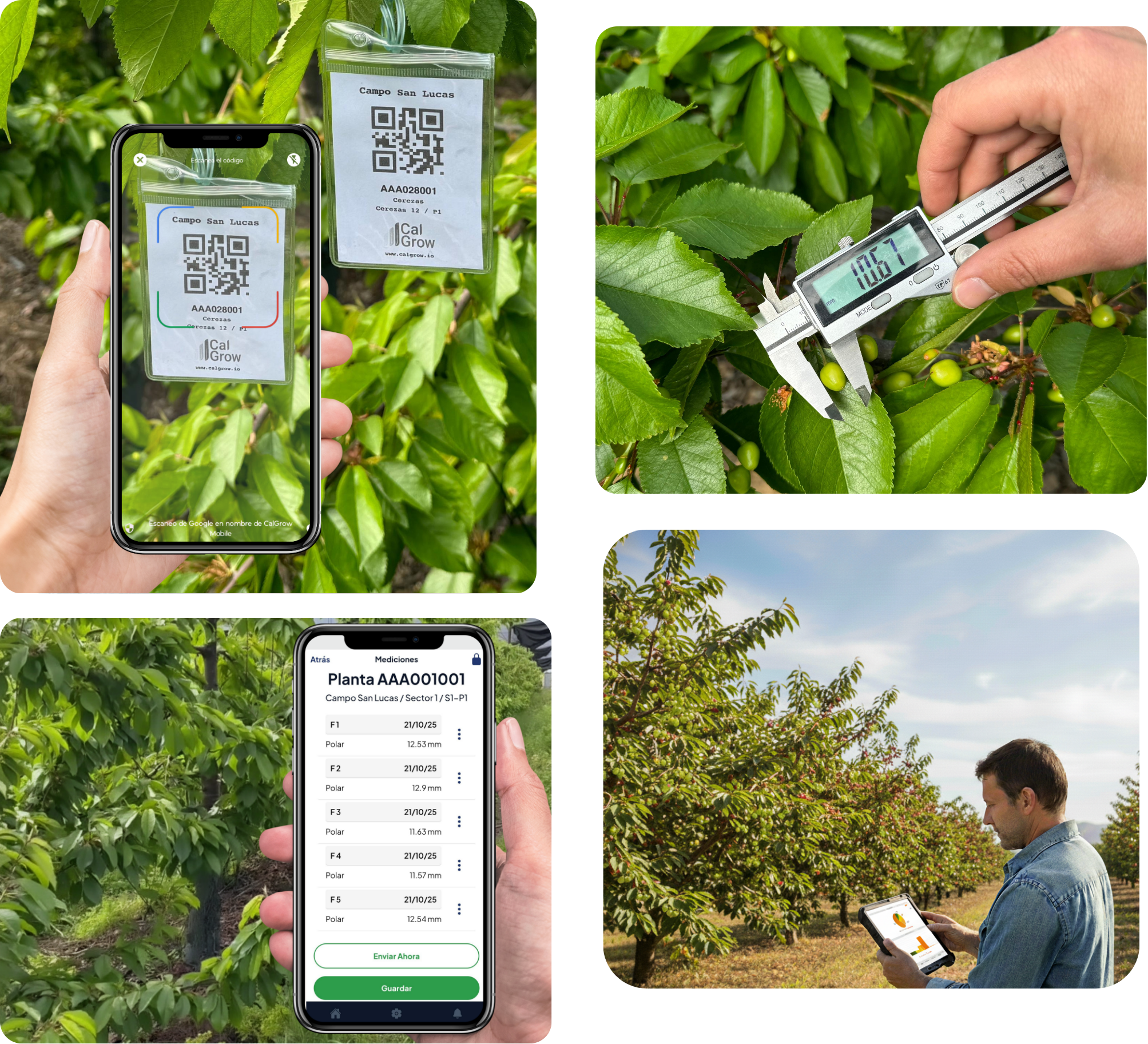 Digitalización del monitoreo agrícola