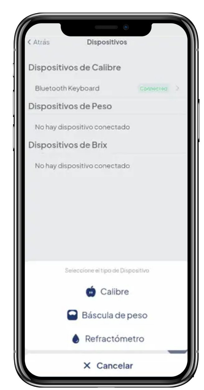 Conexión Bluetooth de la balanza digital